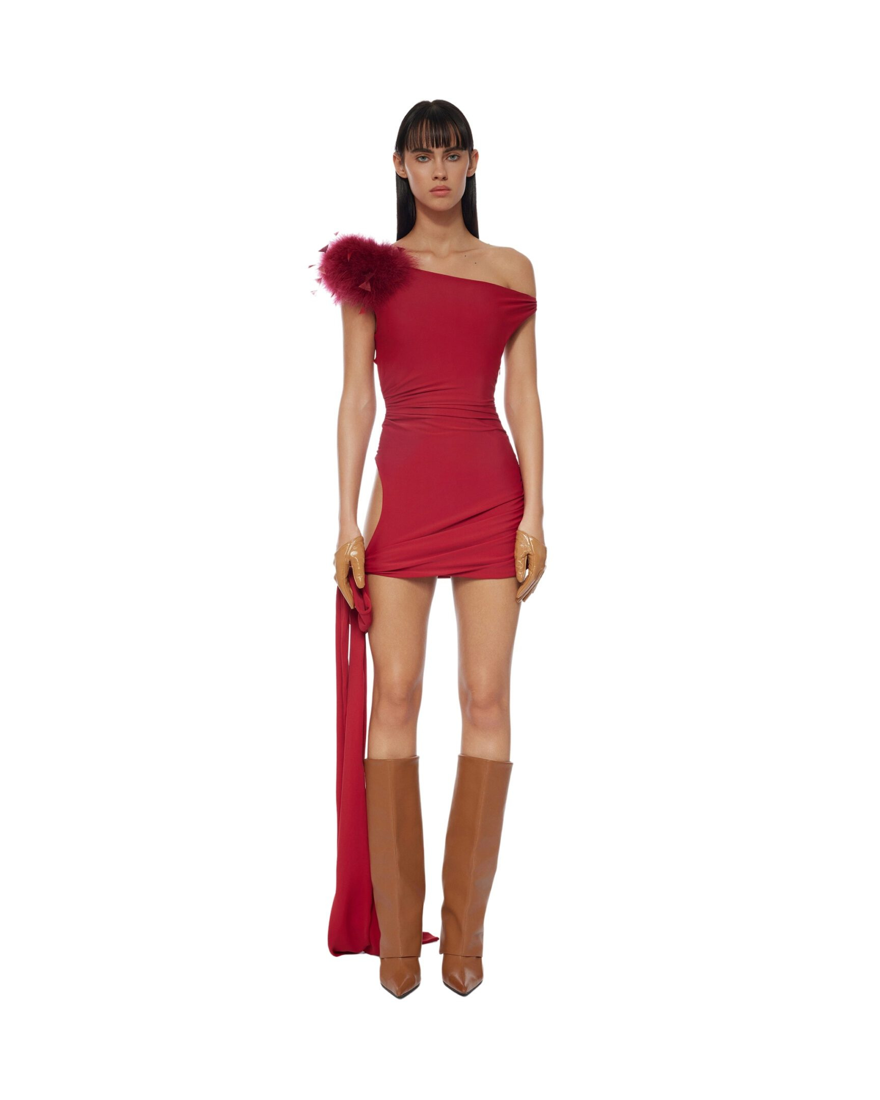 Scarlet Feather Mini Dress